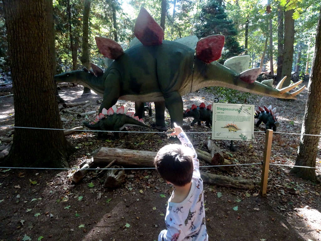 Max with a Stegaosaurus toy and statues of Stegosauruses in the Oertijdwoud forest of the Oertijdmuseum, with explanation