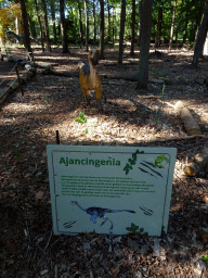 Statue of an Ajancingenia in the Oertijdwoud forest of the Oertijdmuseum, with explanation