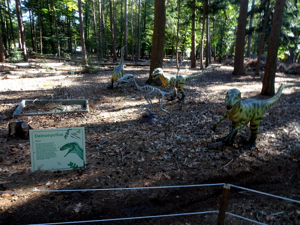 Skeleton and statues of Deinonychuses in the Oertijdwoud forest of the Oertijdmuseum, with explanation