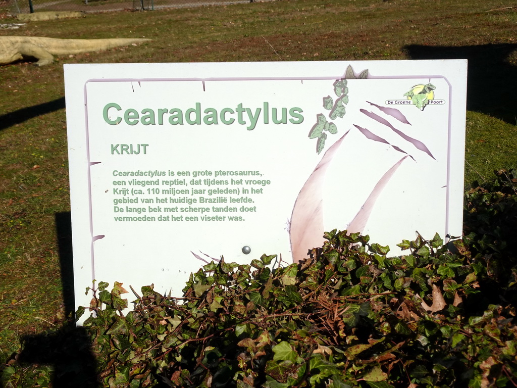Explanation on the Cearadactylus in the garden of the Oertijdmuseum, viewed from the entrance at the Bosscheweg street