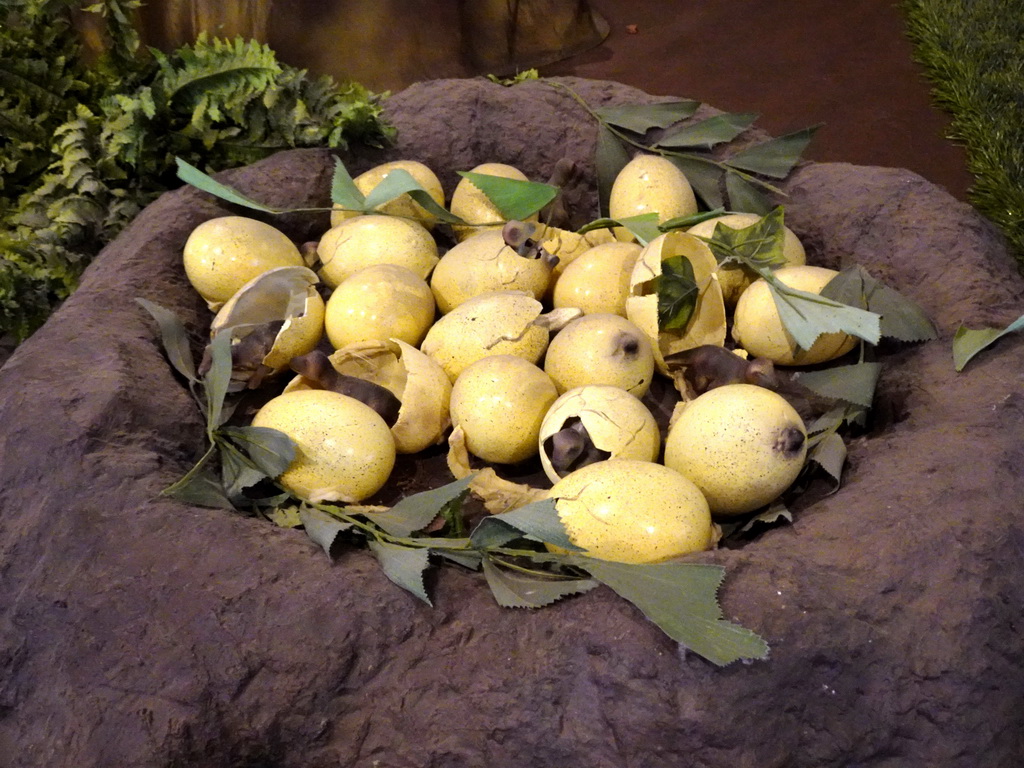 Statues of Maiasaura eggs at the Lower Floor of the Museum Building of the Oertijdmuseum