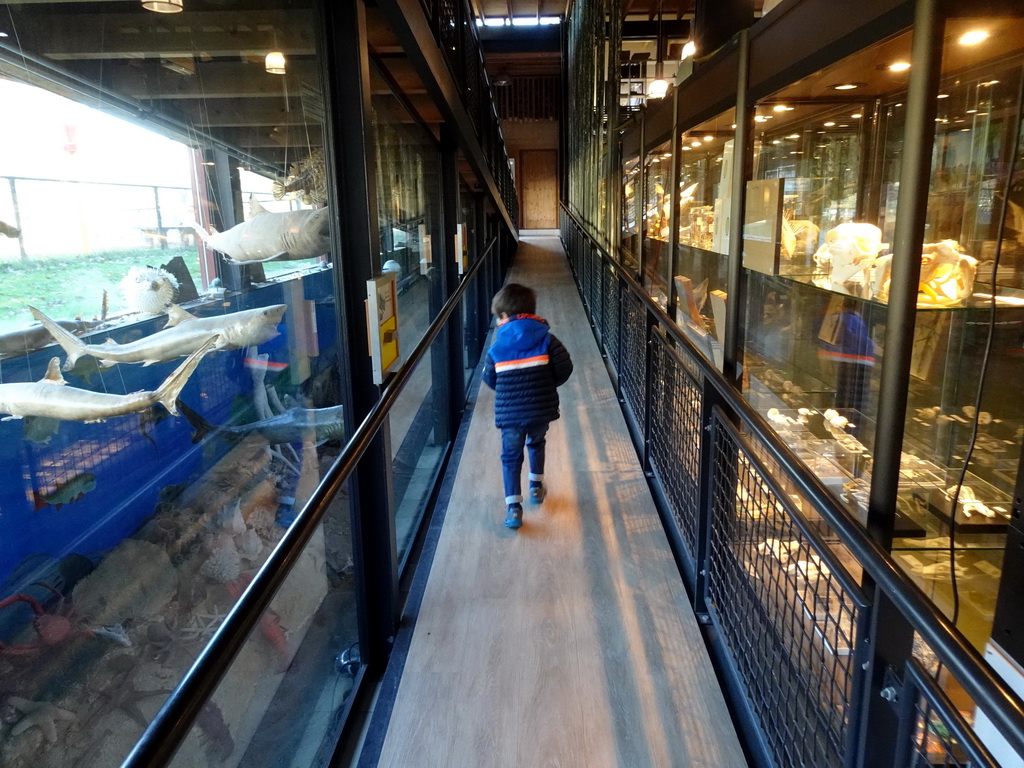 Max at the walkway from the Lower Floor to the Upper Floor at the Museum Building of the Oertijdmuseum