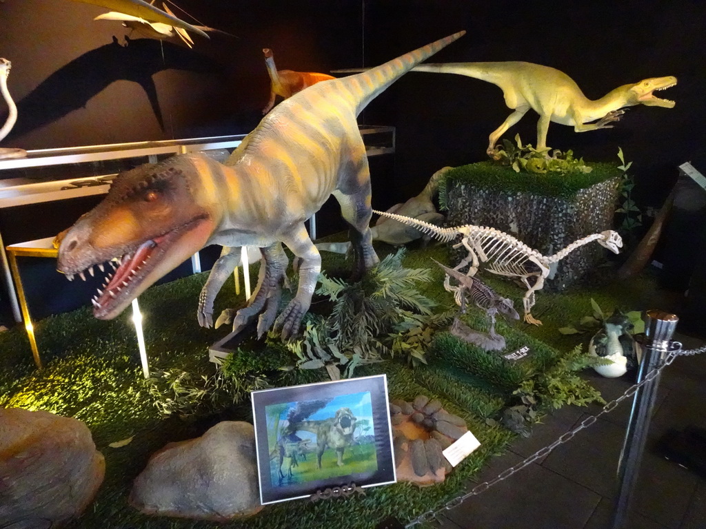 Statues and skeletons of a Herrerasaurus and other Dinosaurs at the Upper Floor of the Museum Building of the Oertijdmuseum