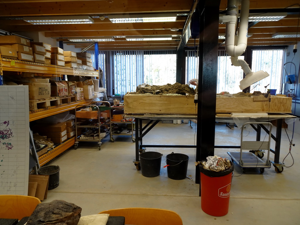 Interior of the paleontological laboratory at the Upper Floor of the Museum Building of the Oertijdmuseum