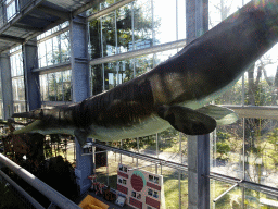 Mosasaurus skeleton at the Dinohal building of the Oertijdmuseum, viewe from the Middle Floor