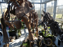 Skeletons of a Brachiosaurus and a Tyrannosaurus Rex at the Lower Floor of the Dinohal building of the Oertijdmuseum, viewed from the Middle Floor