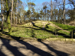 Skeleton of a Dinosaur in the Garden of the Oertijdmuseum