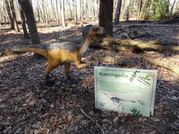 Statue of an Ajancingenia in the Oertijdwoud forest of the Oertijdmuseum, with explanation