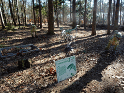 Skeleton and statues of Deinonychuses in the Oertijdwoud forest of the Oertijdmuseum, with explanation