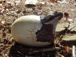 Statue of a Triceratops coming out of an egg in the Oertijdwoud forest of the Oertijdmuseum