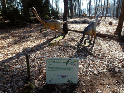 Statues of Ornithomimuses in the Oertijdwoud forest of the Oertijdmuseum, with explanation