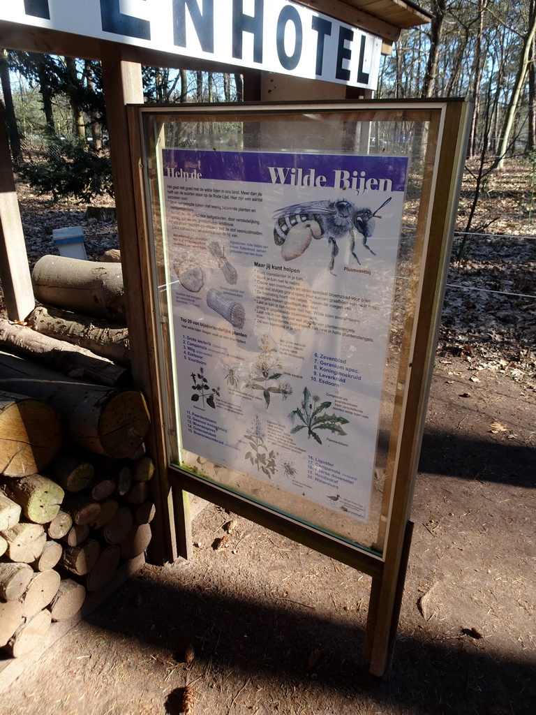 Information on Wild Bees at the Insect Hotel in the Oertijdwoud forest of the Oertijdmuseum