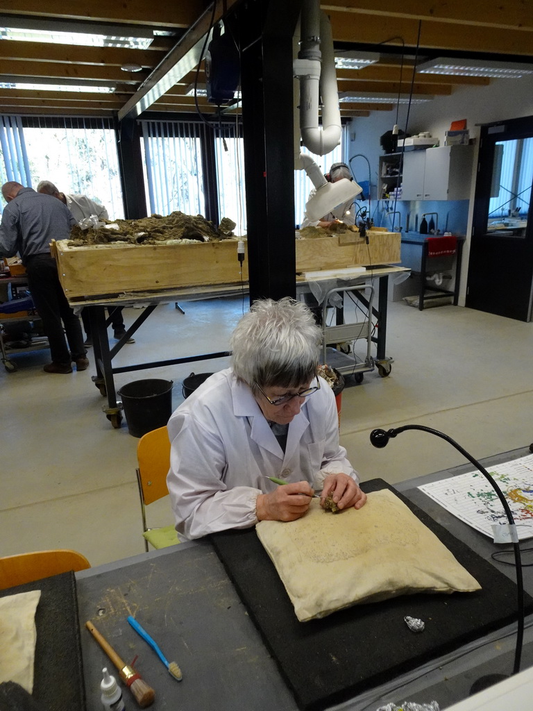 Paleontologist working on the Diplodocus skeleton `Kirby` at the paleontological laboratory at the Upper Floor of the Museum Building of the Oertijdmuseum