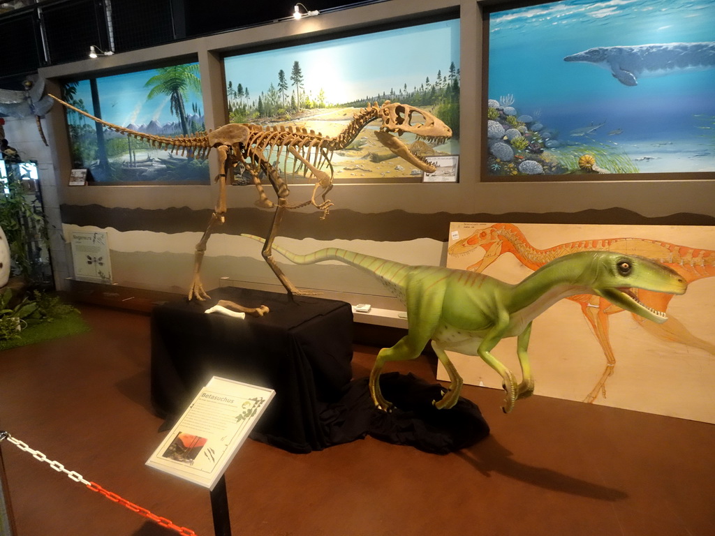 Statue and skeleton of a Betasuchus at the Lower Floor of the Museum Building of the Oertijdmuseum