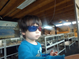 Max with 3D glasses at the Upper Floor of the Museum Building of the Oertijdmuseum