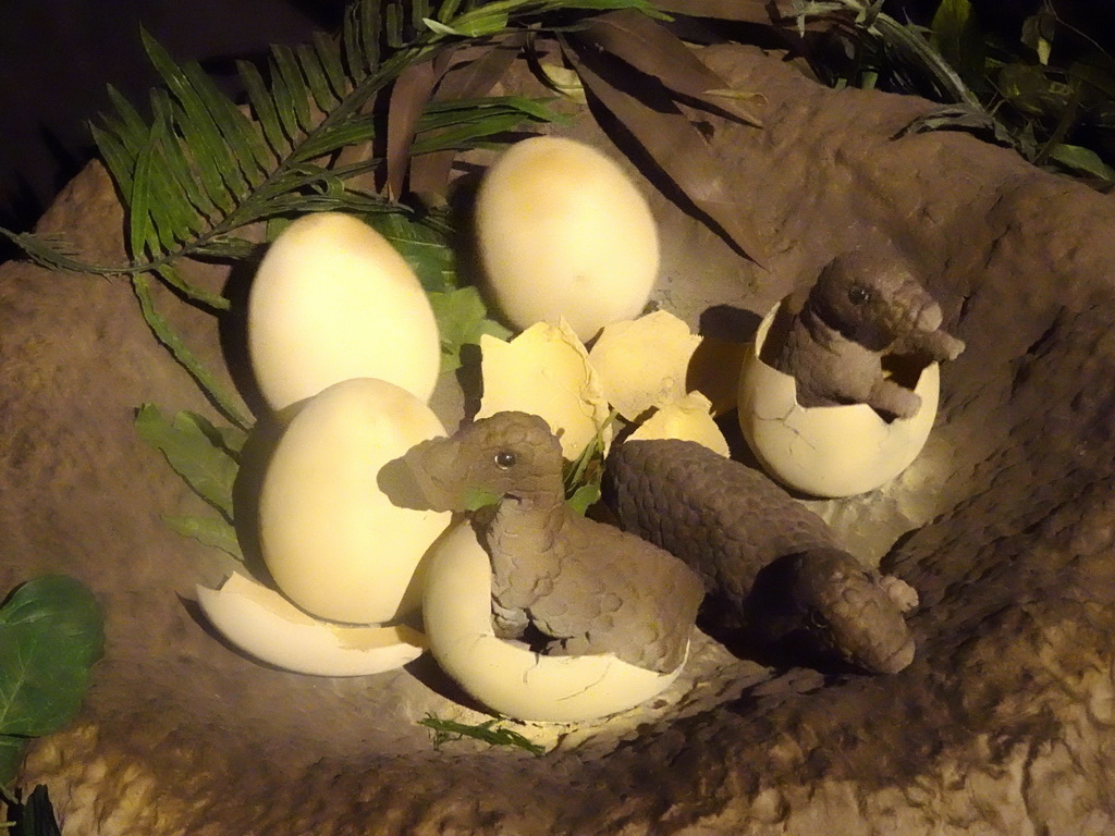 Statues of Maiasaura eggs at the Upper Floor of the Museum Building of the Oertijdmuseum