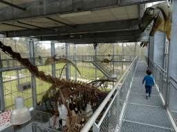 Max at the Upper Floor of the Dinohal building of the Oertijdmuseum