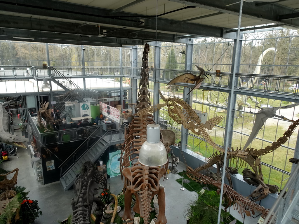 Skeleton of a Plesiosaurus and other dinosaurs in the Dinohal building of the Oertijdmuseum, viewed from the Upper Floor