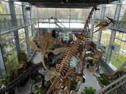 Skeleton of a Plesiosaurus and other dinosaurs in the Dinohal building of the Oertijdmuseum, viewed from the Upper Floor