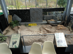 Excavation site with skeletons of a Tarbosaurus and a Saichania at the Lower Floor of the Dinohal building of the Oertijdmuseum, with explanation