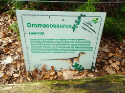 Explanation on the Dromaeosaurus in the Oertijdwoud forest of the Oertijdmuseum