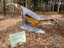 Statue of a Wiehenvenator in the Oertijdwoud forest of the Oertijdmuseum, with explanation