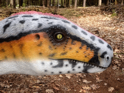 Head of a statue of a Wiehenvenator in the Oertijdwoud forest of the Oertijdmuseum