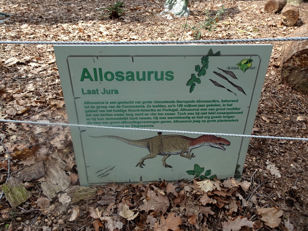 Explanation on the Allosaurus at the Oertijdwoud forest of the Oertijdmuseum