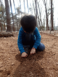 Max at the Oertijdwoud forest of the Oertijdmuseum