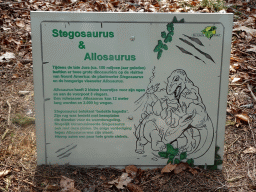 Explanation on the Stegosaurus and Allosaurus at the Oertijdwoud forest of the Oertijdmuseum