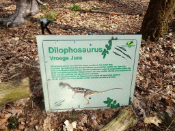 Explanation on the Dilophosaurus at the Oertijdwoud forest of the Oertijdmuseum
