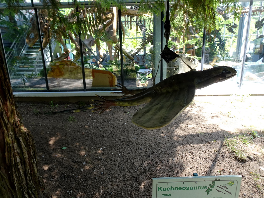 Statue of a Kuehneosaurus in the Garden of the Oertijdmuseum, with explanation