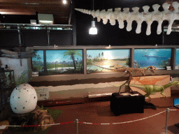 Dinosaur egg and a statue and skeleton of a Betasuchus at the Lower Floor of the Museum Building of the Oertijdmuseum, viewed from the walkway to the Upper Floor