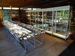 Interior of the Upper Floor of the Museum Building of the Oertijdmuseum