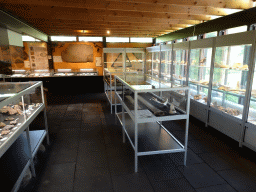 Interior of the Upper Floor of the Museum Building of the Oertijdmuseum