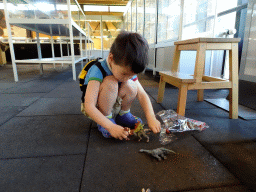 Max playing with dinosaur toys at the Upper Floor of the Museum Building of the Oertijdmuseum