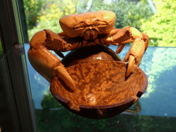 Stuffed Crab with bowl at the Upper Floor of the Museum Building of the Oertijdmuseum