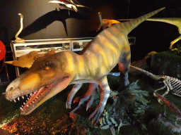 Statues and skeletons of a Herrerasaurus and other Dinosaurs at the Upper Floor of the Museum Building of the Oertijdmuseum