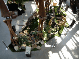 Skeletons, skulls and statues at the Lower Floor of the Dinohal building of the Oertijdmuseum, viewed from the Middle Floor