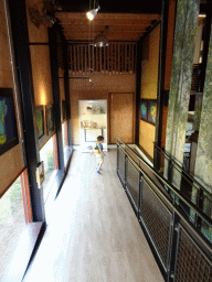 Max on the walkway from the Upper Floor to the Lower Floor of the Museum Building of the Oertijdmuseum