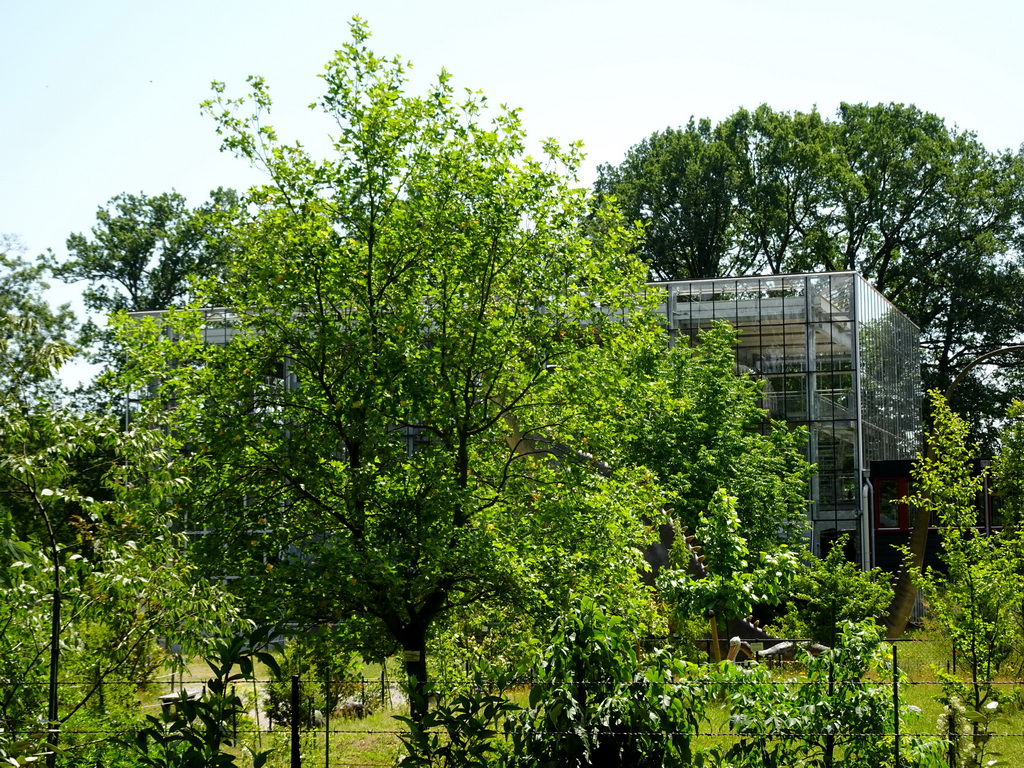 The Dinohal building of the Oertijdmuseum, viewed from the Oertijdwoud forest