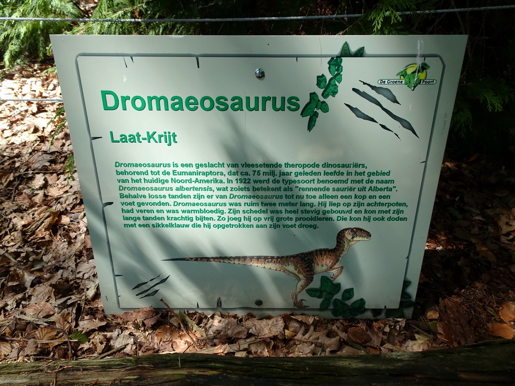 Explanation on the Dromaeosaurus in the Oertijdwoud forest of the Oertijdmuseum