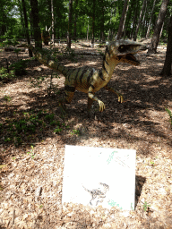 Statue of a Velociraptor in the Oertijdwoud forest of the Oertijdmuseum, with explanation