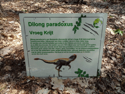 Explanation on the Dilong Paradoxus in the Oertijdwoud forest of the Oertijdmuseum