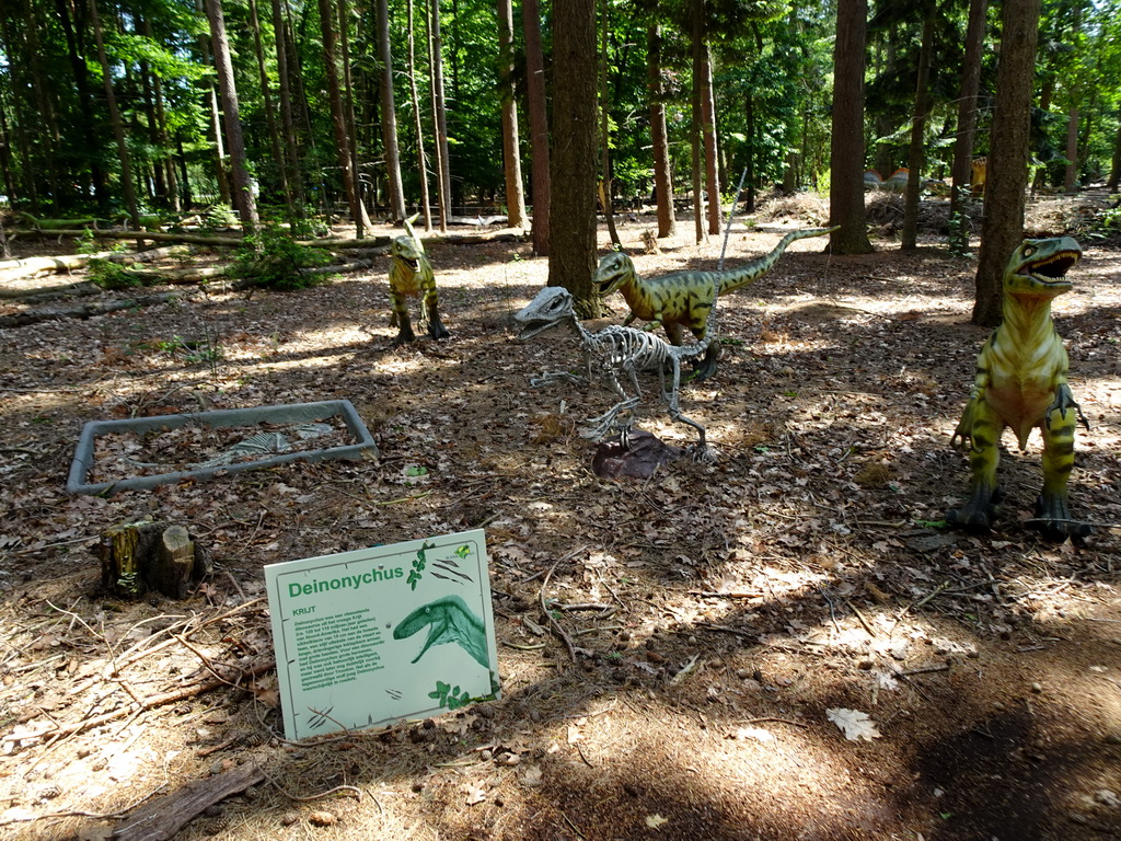 Deinonychus statues and skeleton in the Oertijdwoud forest of the Oertijdmuseum, with explanation