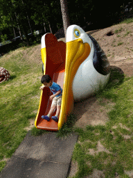 Max on a slide at the playground in the Oertijdwoud forest of the Oertijdmuseum