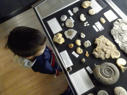 Max with Ammonites at the Upper Floor of the Museum Building of the Oertijdmuseum, with explanation