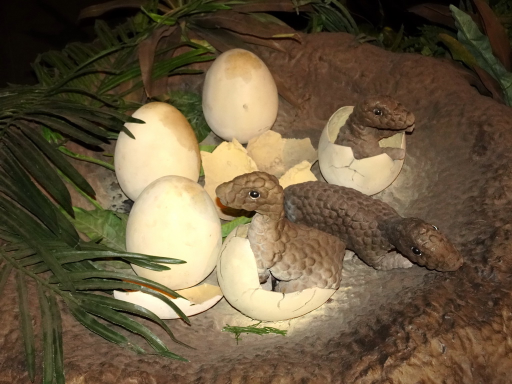 Statues of Maiasaura eggs at the Upper Floor of the Museum Building of the Oertijdmuseum