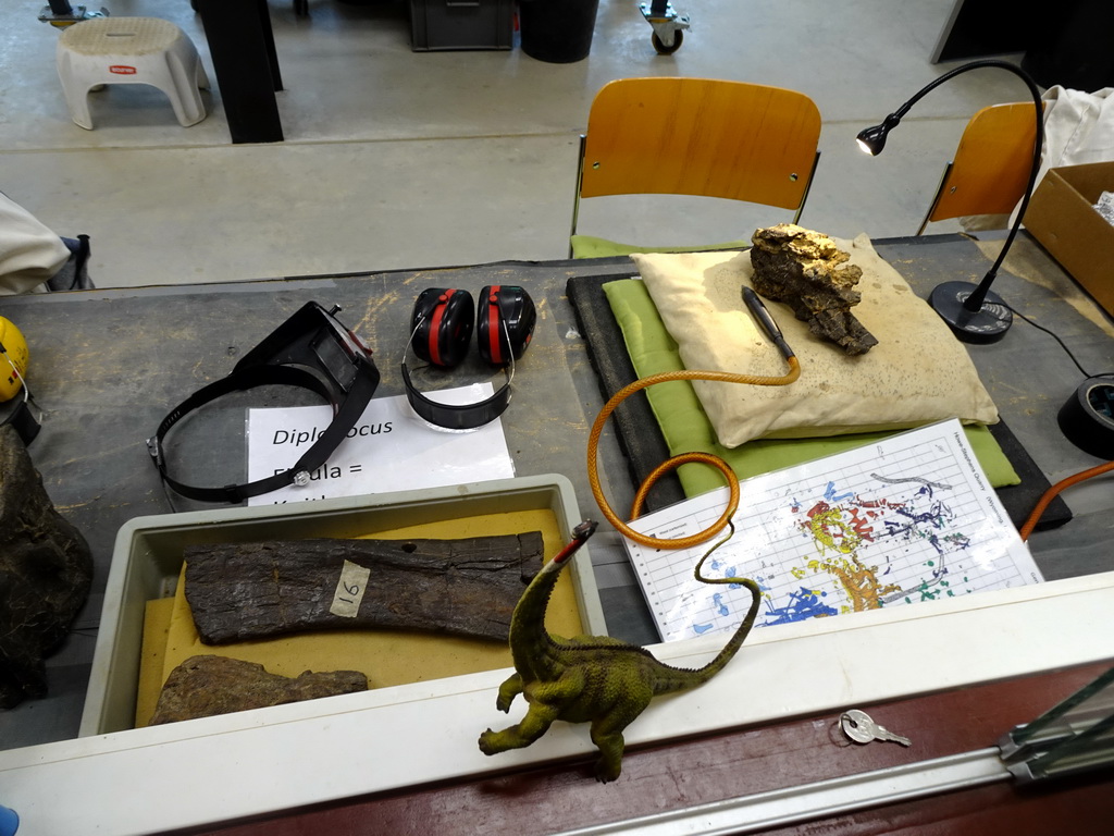 Dinosaur bones and tools at the paleontological laboratory at the Upper Floor of the Museum Building of the Oertijdmuseum