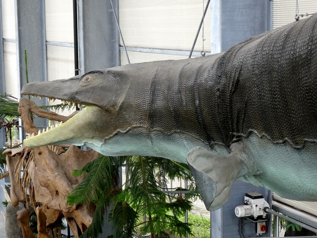 Statue of a Mosasaurus at the Dinohal building of the Oertijdmuseum, viewe from the Middle Floor